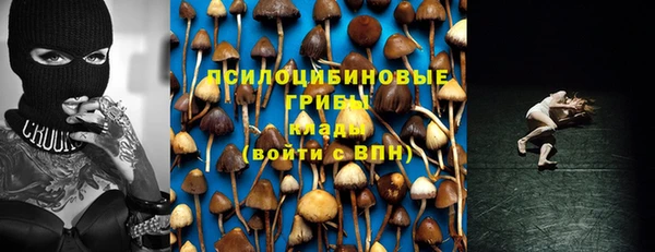 твердый Армянск