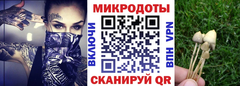 блэк спрут как войти  Безенчук  Галлюциногенные грибы Cubensis  где продают  